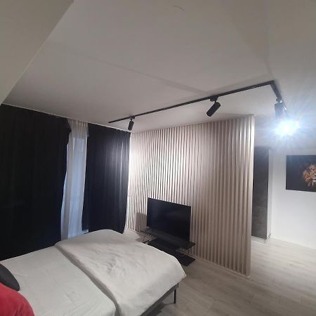 Studio 1 Camera Бухарест Екстер'єр фото